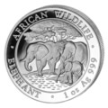African Silver Bullion Wildlife Series