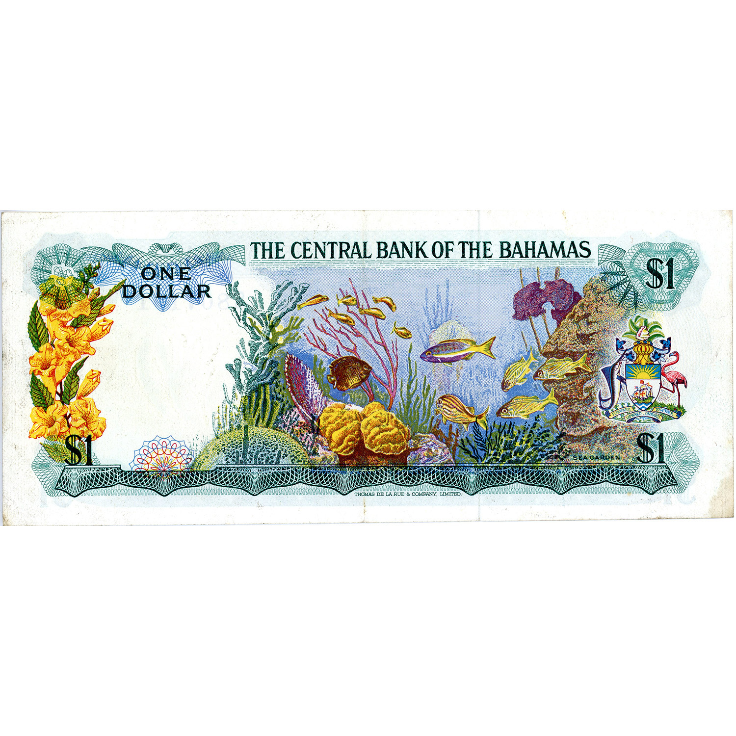 Currency From North America & Caribbean