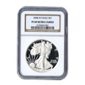 Certified Proof Silver Eagles