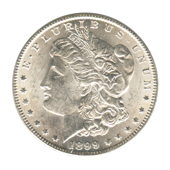 Morgan Silver Dollar Uncirculated 1899