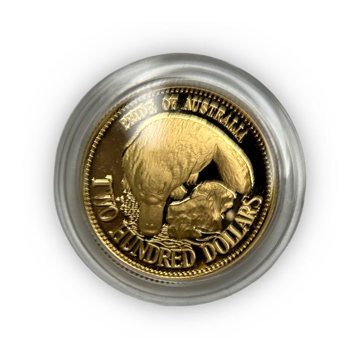 10g Australian Platinum Platypus 1990 Proof Coin in Box