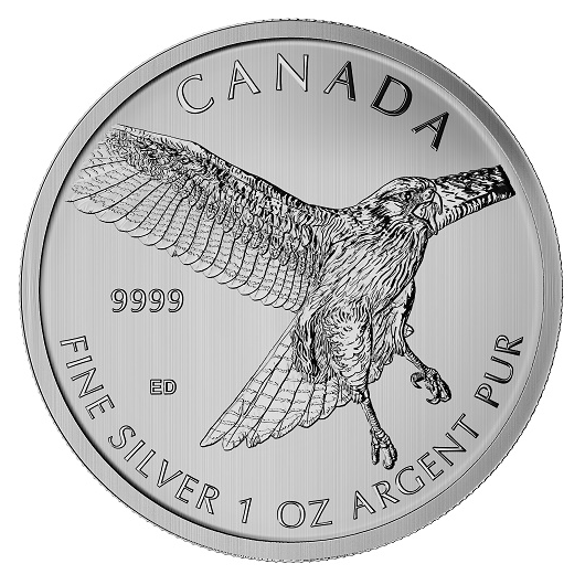 Canadian Silver 1 oz Red-Tailed Hawk 2015 (Birds of Prey Series)
