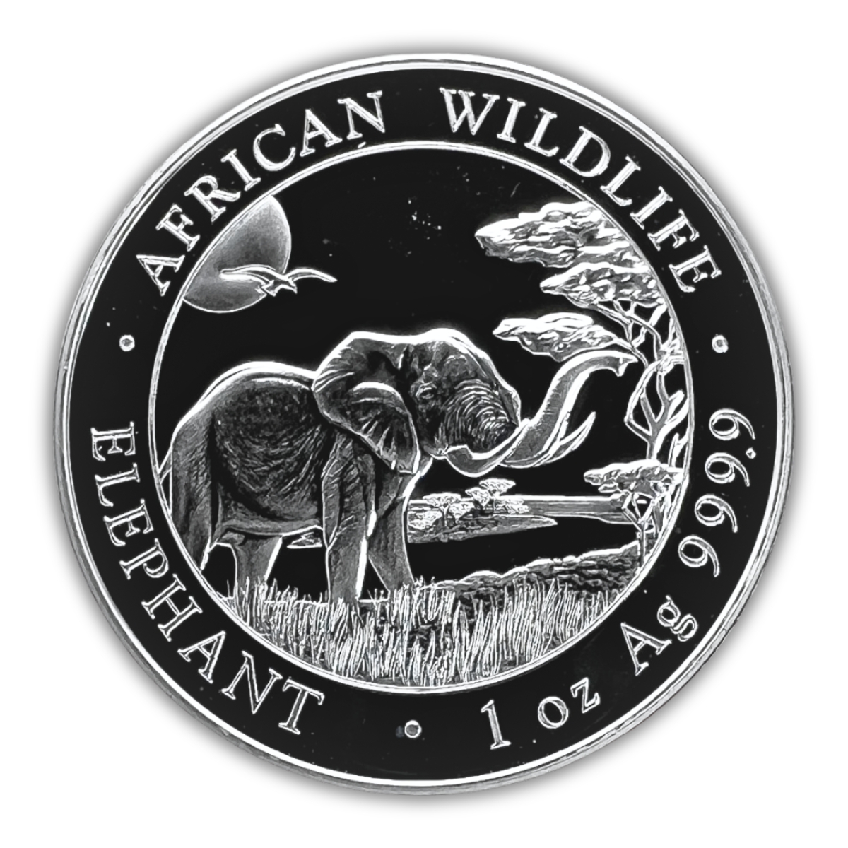 Somalia 1 Oz. Silver Elephant 2019