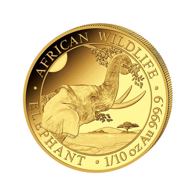 Somalia 2023 Gold Elephant 1/10 ounce
