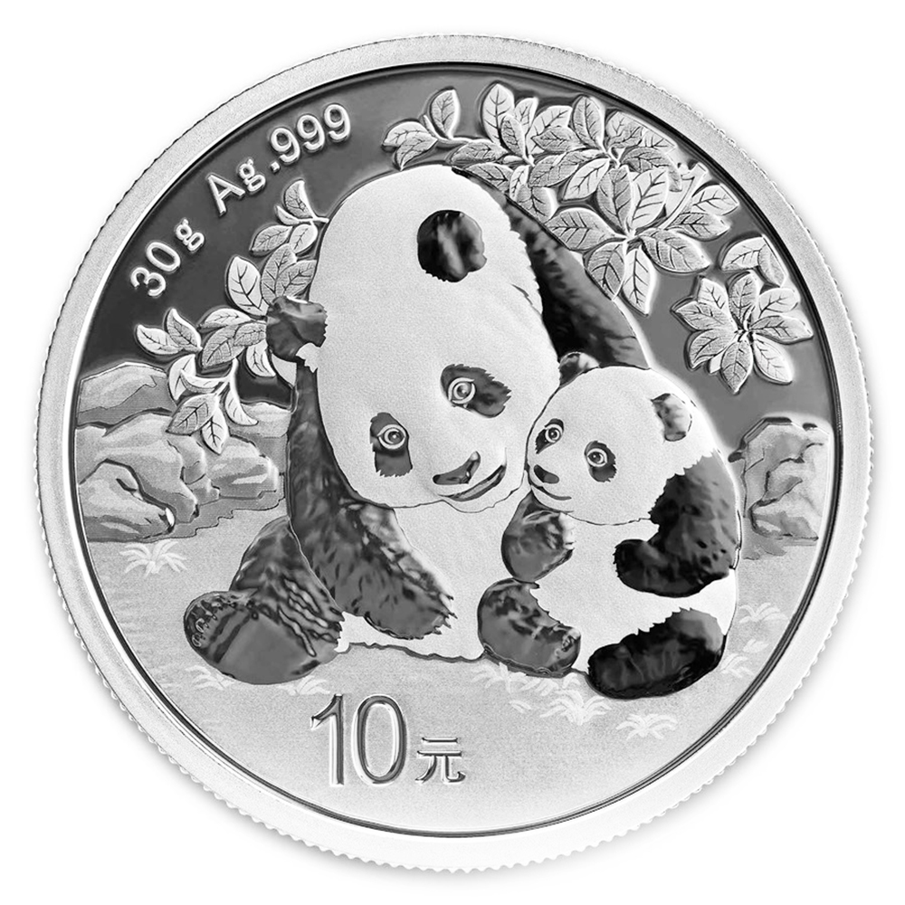 2024 Chinese Silver Panda 30 Gram