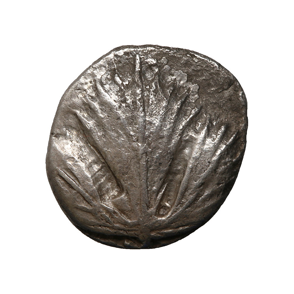 Selinus Sicily Silver Didrachm 520-490 B.C.