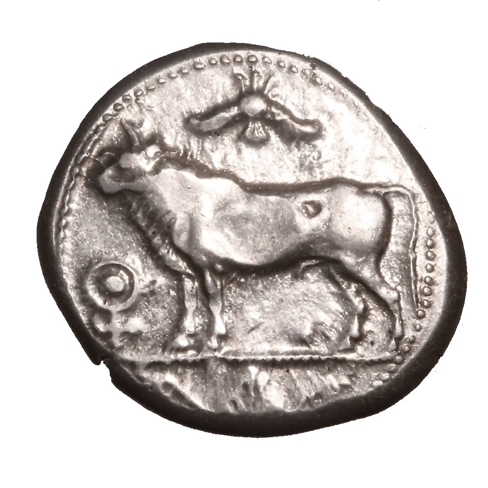Cyprus Paphos AR Stater 425 B.C. Bull & Eagle Choice XF SNG Cop 26