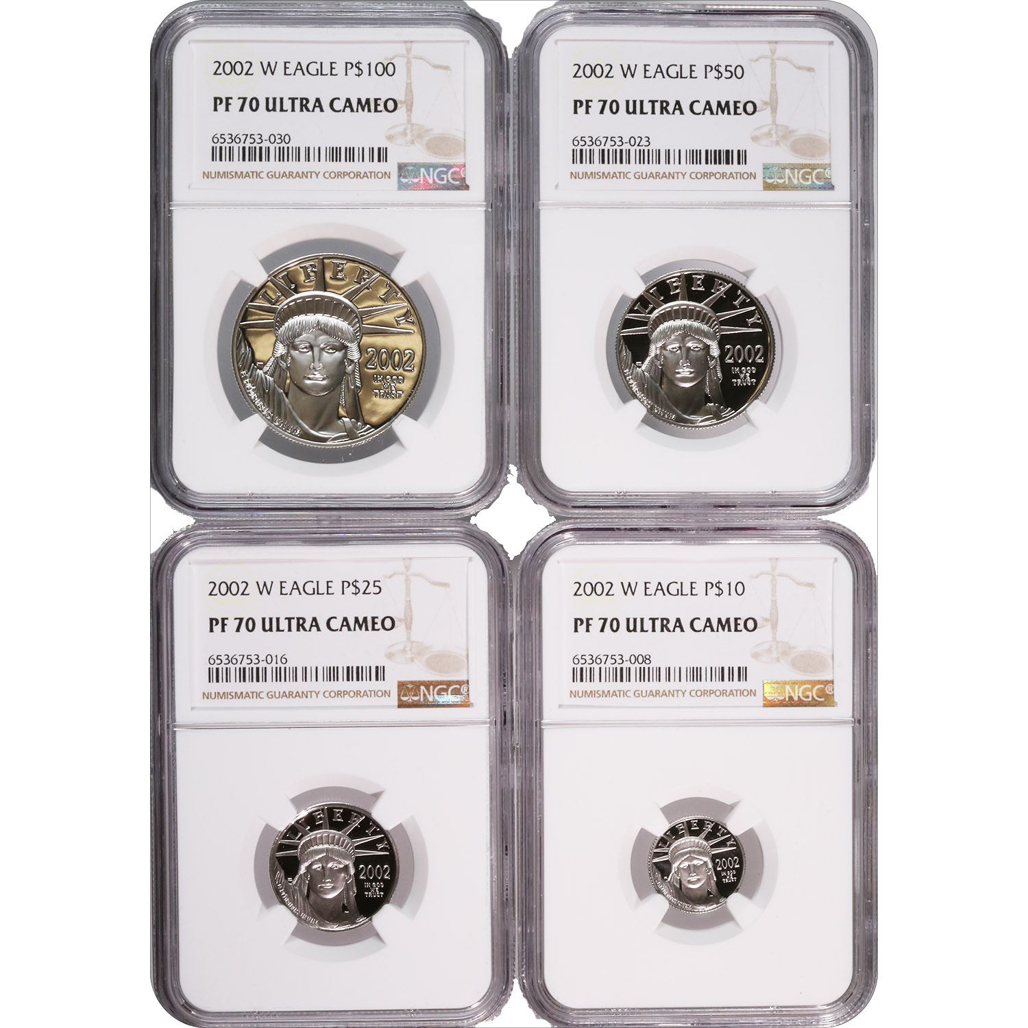 Certified Platinum American Eagle Proof Set 2002-W PF70 NGC
