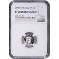 Certified Platinum American Eagle Proof 2001-W Tenth Ounce PF70 NGC