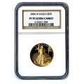 Certified Proof American Gold Eagle $25 2004 PF70 NGC