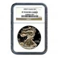 Certified Proof Silver Eagle 1999 PF70 NGC