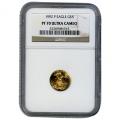 Certified Proof American Gold Eagle $5 1992 PF70 NGC