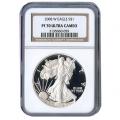 Certified Proof Silver Eagle 2008 PF70 NGC