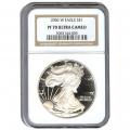 Certified Proof Silver Eagle 2006 PF70 NGC