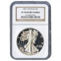 Certified Proof Silver Eagle 2001 PF70 NGC