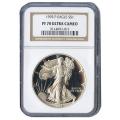 Certified Proof Silver Eagle 1995 PF70 NGC