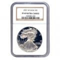 Certified Proof Silver Eagle PF69 2001