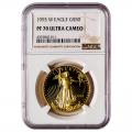 Certified Proof American Gold Eagle $50 1993-W PF70 NGC