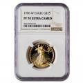 Certified Proof American Gold Eagle $25 1996-W PF70 NGC