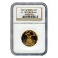 Certified Proof American Gold Eagle $25 2001-W PF70 NGC