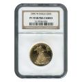 Certified Proof American Gold Eagle $25 2005-W PF70 NGC