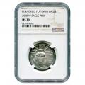 Certified Burnished Platinum American Eagle 2008-W Half Ounce MS70 NGC