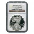 Certified Proof Silver Eagle 2010-W PF70 NGC