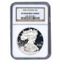 Certified Proof Silver Eagle PF69 2010