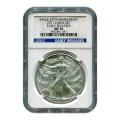 Certified Uncirculated Silver Eagle 2011 MS70 NGC Early Release