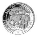 Somalia 1 oz Silver Elephant 2013