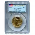 Certified American $25 Gold Eagle 2013 MS70 PCGS First Strike