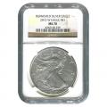 Burnished 2015-W Silver Eagle MS70 NGC