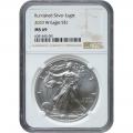 Burnished 2020-W Silver Eagle MS69 NGC