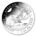 Somalia 1 oz Silver Elephant 2023
