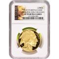 Certified Proof Gold Buffalo 2010-W PF70 Early Releases NGC