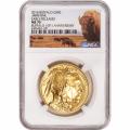 Certified Uncirculated Gold Buffalo 2018 MS70 NGC Early Releases 10th Anniversary