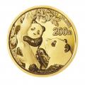 Chinese Gold Panda 15 Gram 2021