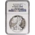 Certified Proof Silver Eagle 2015-W PF70 NGC Early Releases