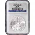 Certified Uncirculated Silver Eagle 2006 MS69 NGC Early Release