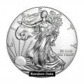 Type I Silver Eagle Roll of 20 Coins( Secondary market quality)